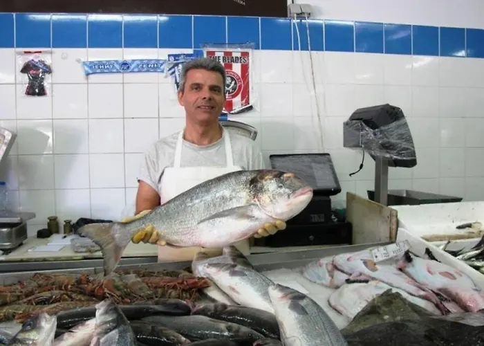 Marina Extraordinary 70 M2 T1, Marina 200m , 300m 公寓 维拉摩拉